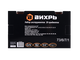 Набор инструментов Вихрь 1/4 , CrV, пластиковый кейс 29 предм